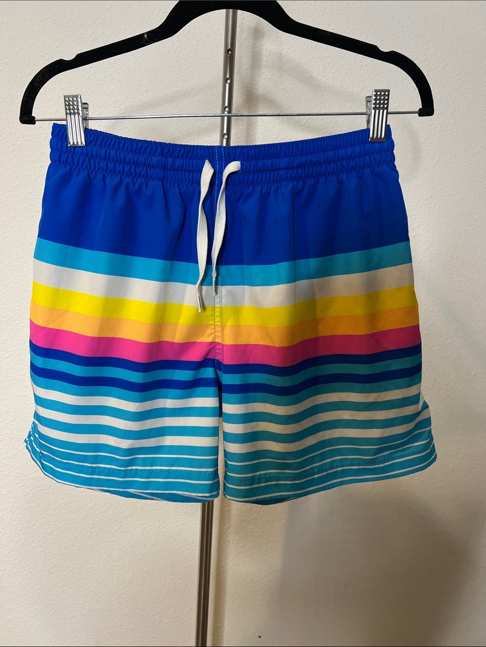 Chubbies Stripe Swim Trunks